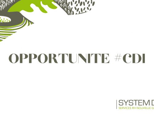 Chef de projet supply chain – F/H
